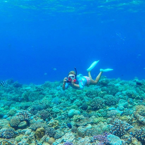 水納島クロワッサンアイランドシュノーケリング